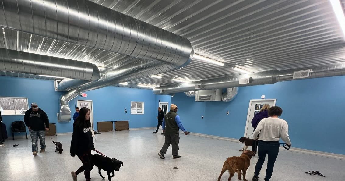 dog daycare princeton cpk 31
