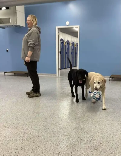 Indoor Playtime at Country Pup Kennel
