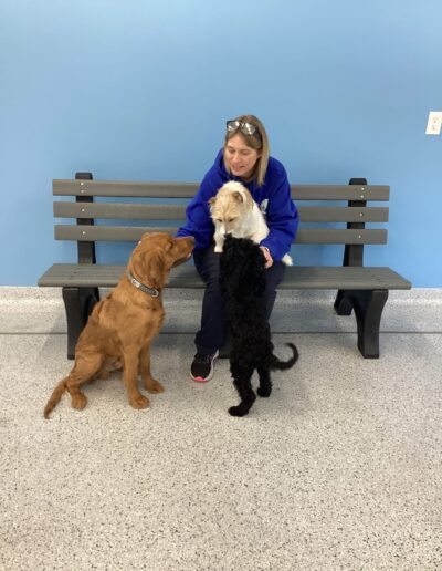 Country Pup Kennel staff giving love and affection to dogs during indoor playtime.
